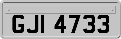 GJI4733