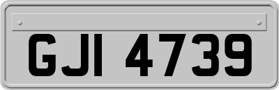 GJI4739