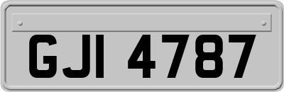 GJI4787