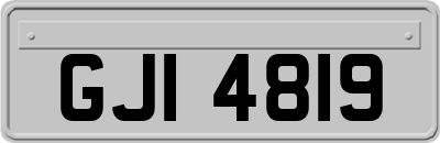 GJI4819