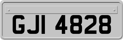 GJI4828