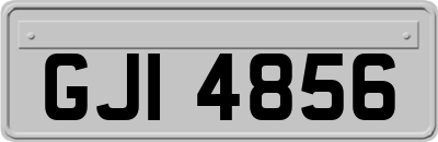 GJI4856
