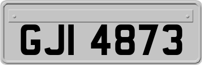 GJI4873