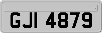 GJI4879