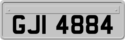 GJI4884