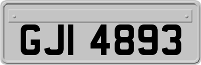 GJI4893