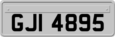 GJI4895