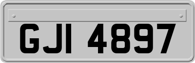 GJI4897