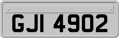 GJI4902
