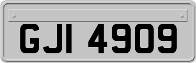 GJI4909