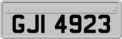 GJI4923