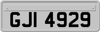 GJI4929