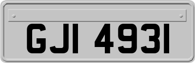 GJI4931