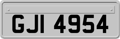 GJI4954