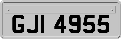 GJI4955