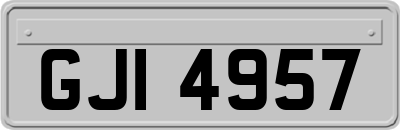 GJI4957
