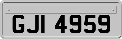 GJI4959