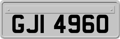 GJI4960