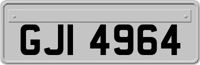 GJI4964