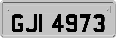 GJI4973