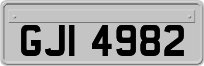 GJI4982
