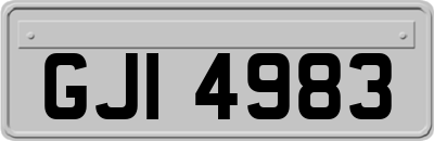 GJI4983