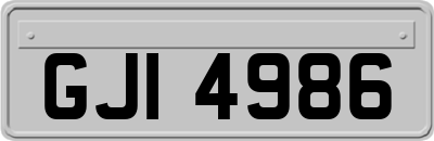 GJI4986