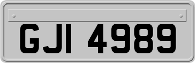 GJI4989