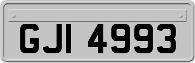 GJI4993