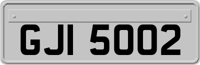 GJI5002