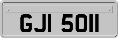 GJI5011