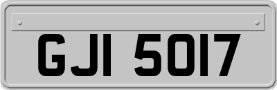 GJI5017