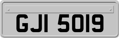 GJI5019