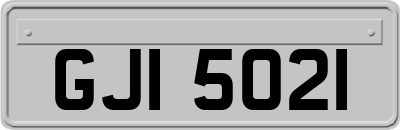 GJI5021