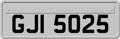 GJI5025