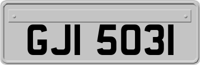 GJI5031