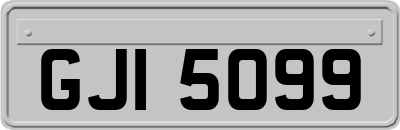 GJI5099