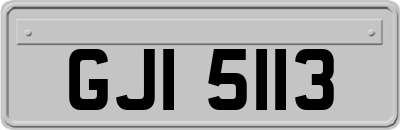 GJI5113