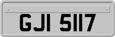 GJI5117