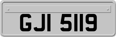 GJI5119