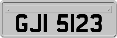 GJI5123