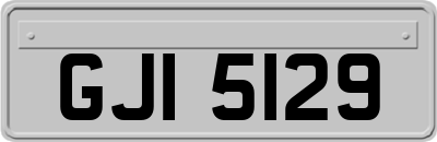 GJI5129