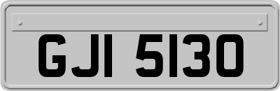 GJI5130