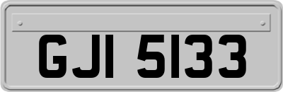 GJI5133