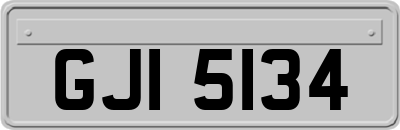 GJI5134