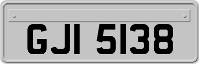 GJI5138