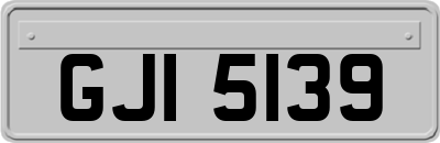 GJI5139