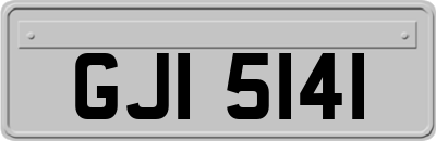 GJI5141