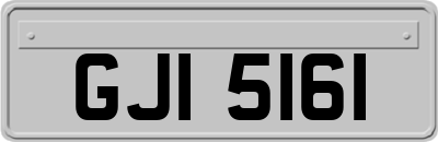 GJI5161