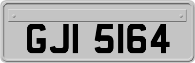 GJI5164